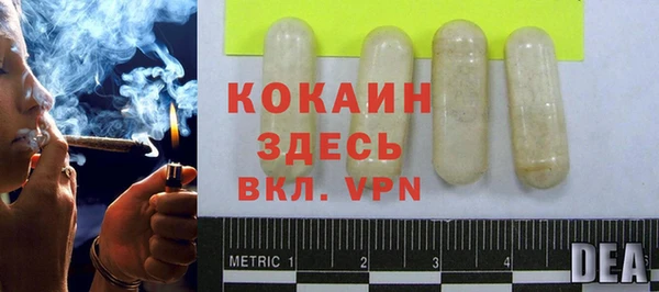 тгк Арсеньев