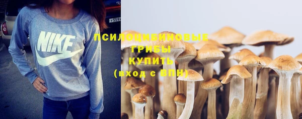прущий лед Аркадак