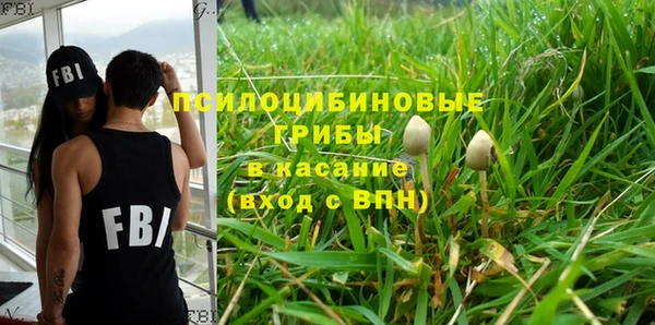 тгк Арсеньев