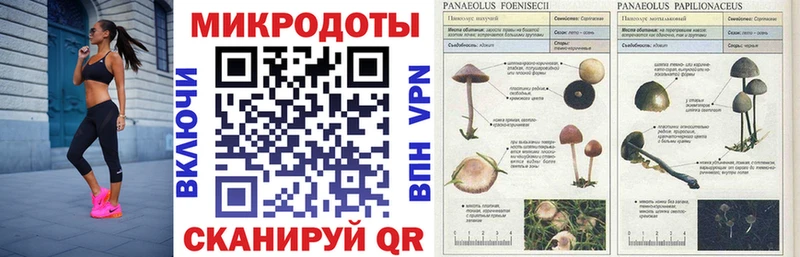 Псилоцибиновые грибы MAGIC MUSHROOMS  наркота  Краснодар 